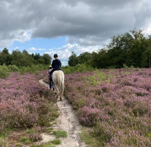 Bed and Breakfast T Heidepaleis