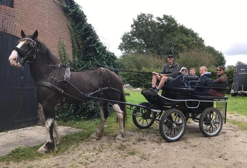 Bed and Breakfast T Heidepaleis