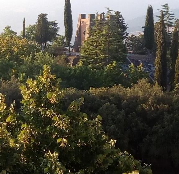 Fonte Alle Ninfe B&b