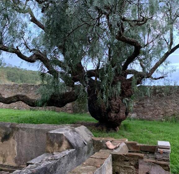 Szálloda Antigua Hacienda Metepec