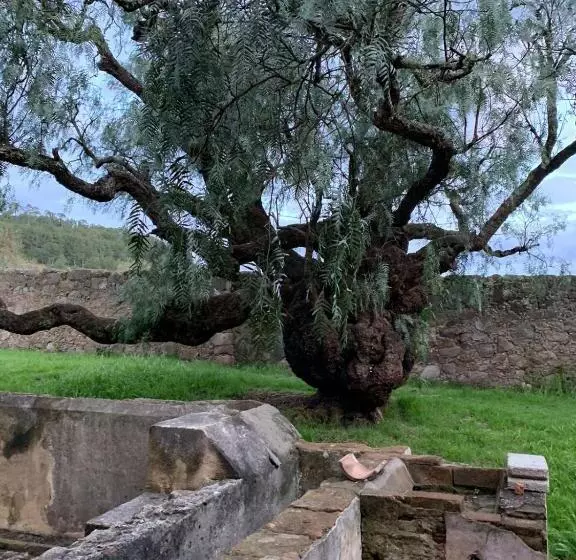 ホテル Antigua Hacienda Metepec