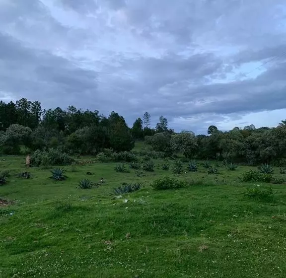 ホテル Antigua Hacienda Metepec