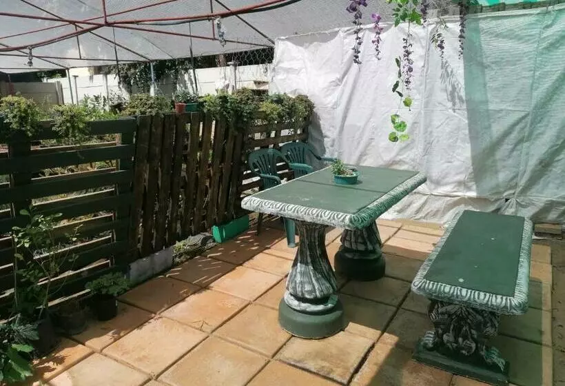 Majatalo Why Not Guesthouse