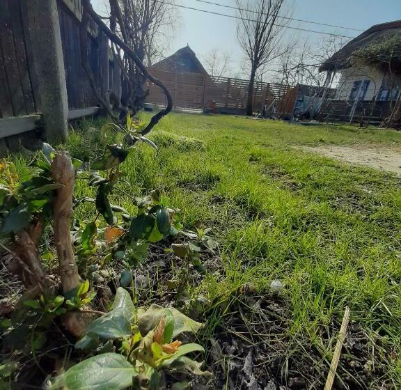 Pensiunea Valurile Dunarii