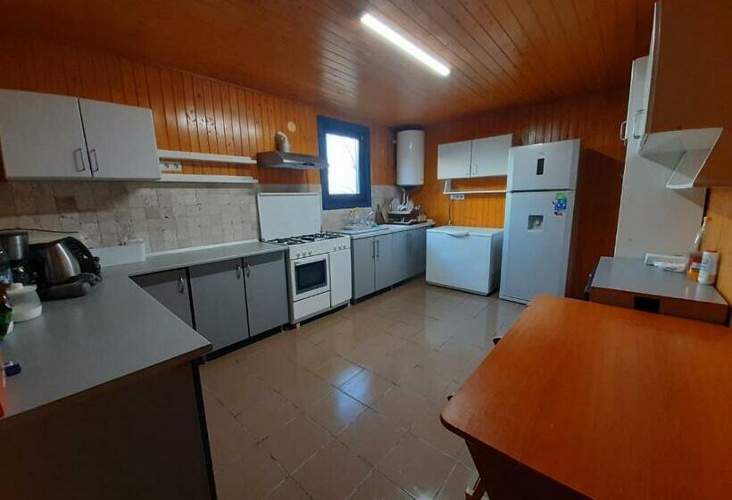 Pensiunea Valurile Dunarii