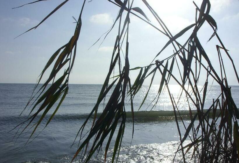 Pensiunea Valurile Dunarii