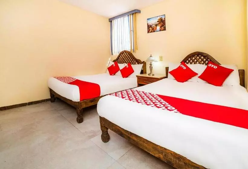 Oyo Hotel Bugambilia San Luis Potosi