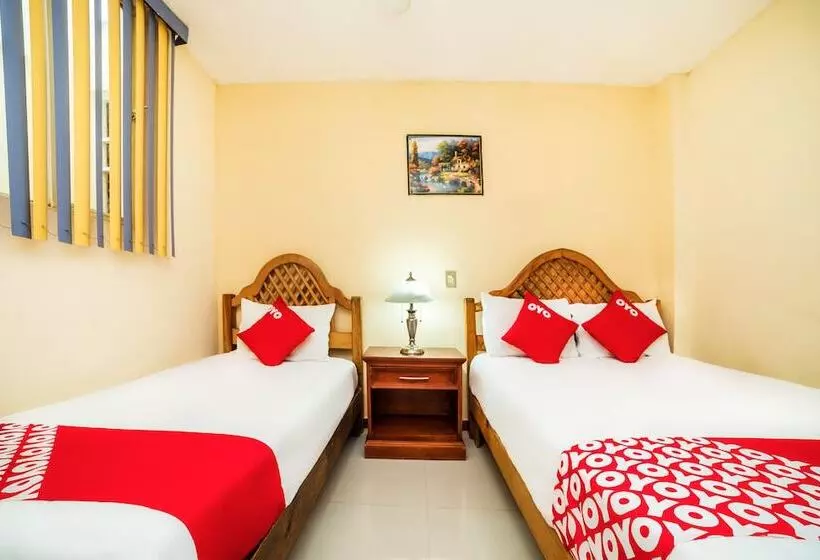 Oyo Hotel Bugambilia San Luis Potosi