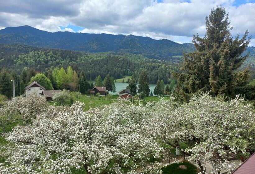 پانسیون Casa De Vacanță Perla Colibitei