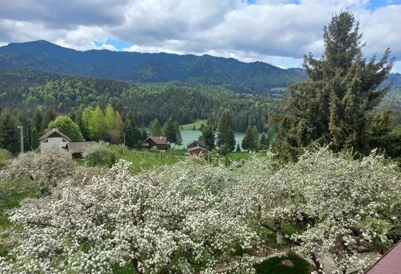 Majatalo Casa De Vacanță Perla Colibitei