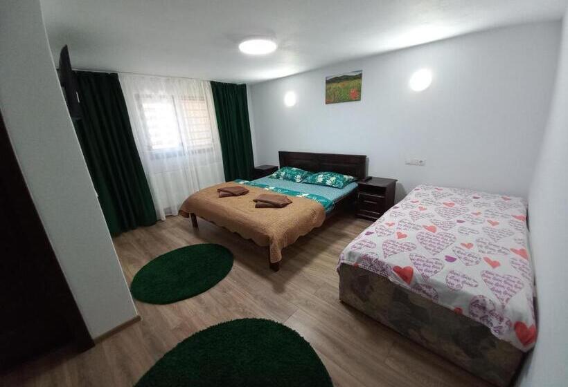 پانسیون Casa De Vacanță Perla Colibitei