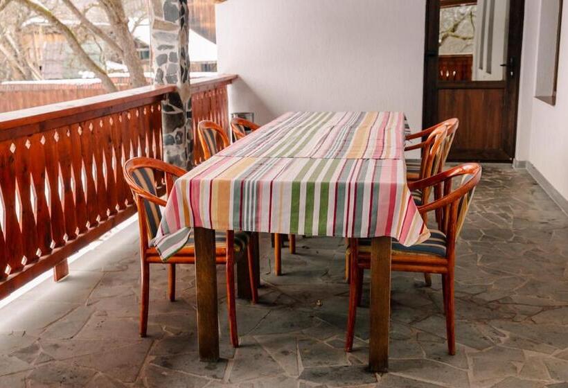 پانسیون Casa De Vacanță Perla Colibitei