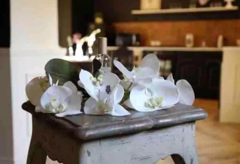 ペンション Maison D Hôtes La Bella Casa