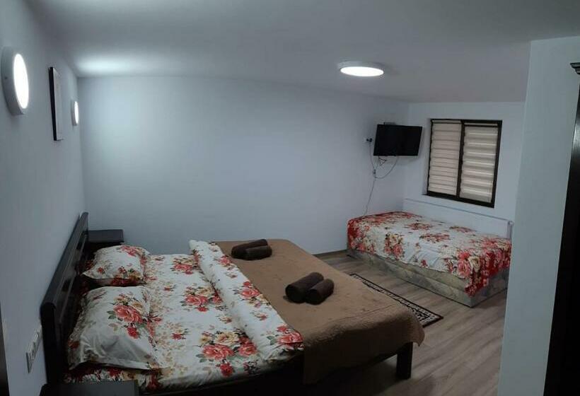 پانسیون Casa De Vacanță Perla Colibitei