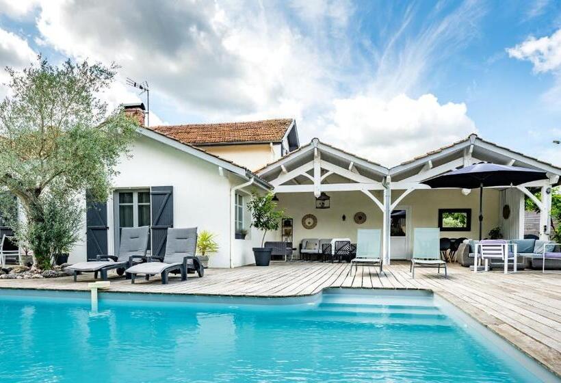 住宿加早餐 Chambre Avec Salle De Bain Privée De La Canopée De Mios