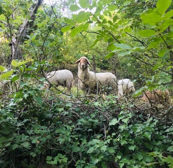 צימר Il Mulino Dei Veraghi The Mill At The Falls