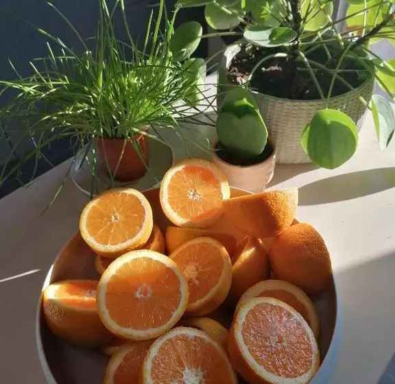 Aamiaismajoitus (B&B) Sea Me Ostend