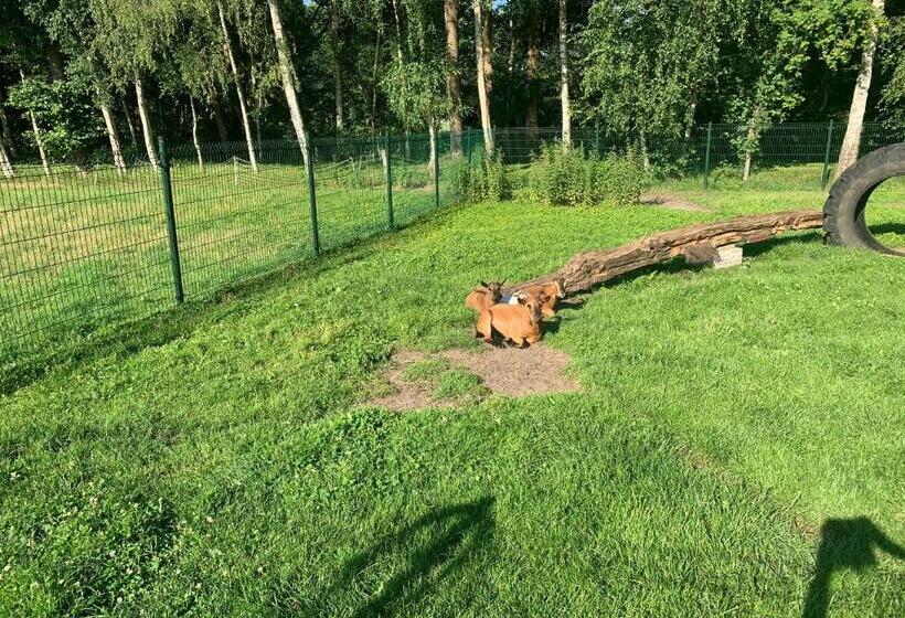 酒店 De Boerderij Buitenplaats Ruitenveen, Privé