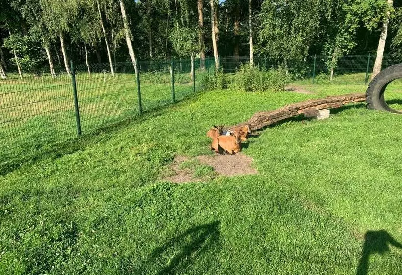 ホテル De Boerderij   Buitenplaats Ruitenveen, Privé