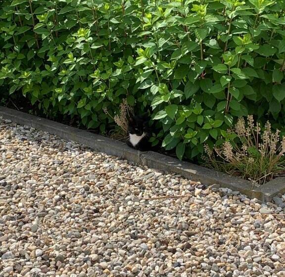 酒店 De Boerderij Buitenplaats Ruitenveen, Privé