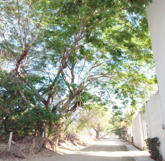 هتل La Aurora Puerto Escondido