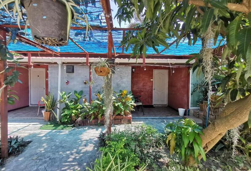 Szálloda Lek Homestay