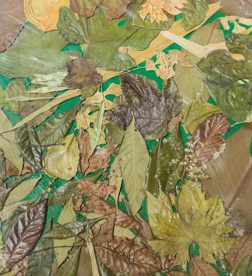 Пансион Opera Suites Il Sentiero Della Felicità