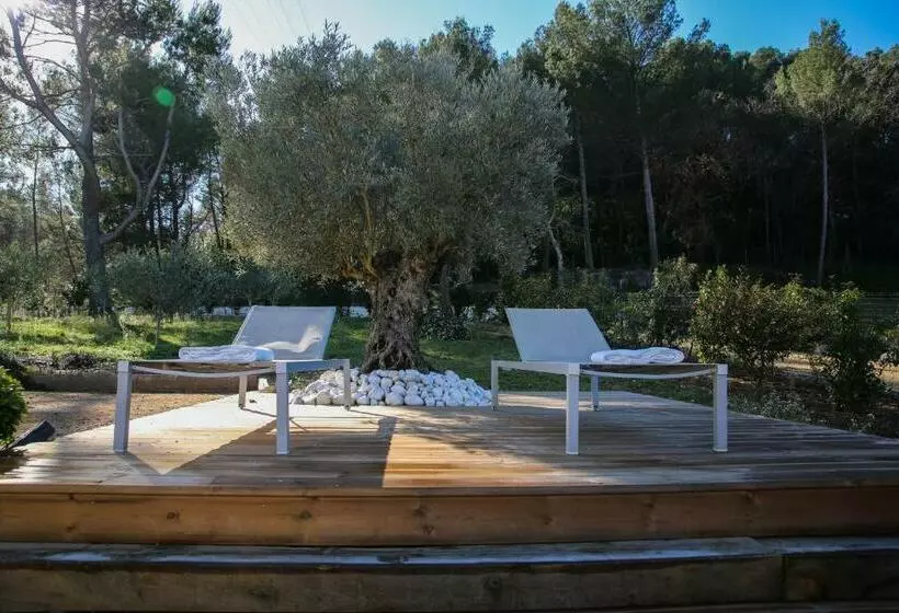 تختخواب و صبحانه Maison M Aix