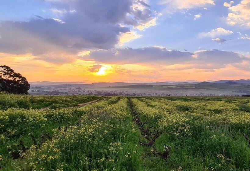 بنسيون Abbotts Hill