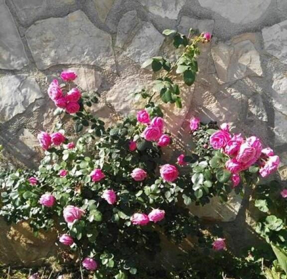 بنسيون Villa Vista Javea Home Away From Home