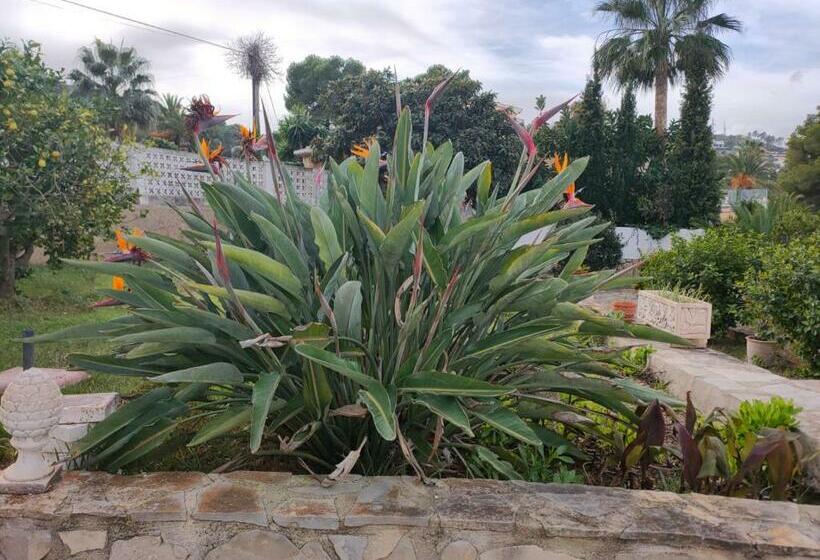 بنسيون Villa Vista Javea Home Away From Home