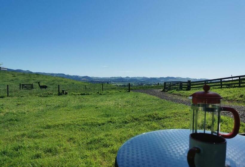 Пансион Waihi Gold Alpacas 3 Or 4 People