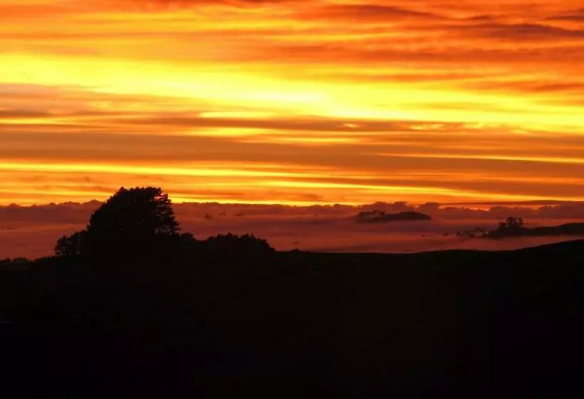 Majatalo Waihi Gold Alpacas 3 Or 4 People