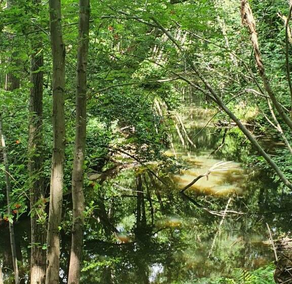 B&b Linje Ell Gemeente Leudal