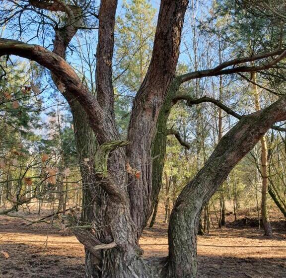 B&b Linje Ell Gemeente Leudal