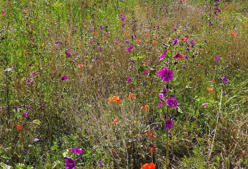 B&b Linje Ell Gemeente Leudal