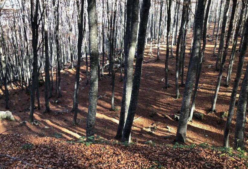 مبيت وإفطار Chalet Mirastelle