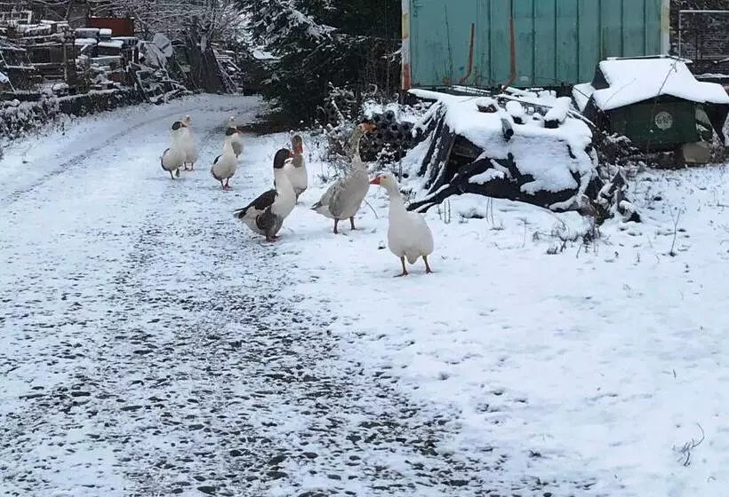 Majatalo Haus Mit Herz Und Garten