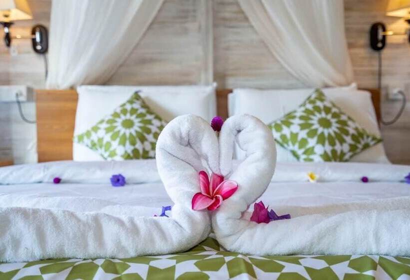 膳宿费 Island Retreat Cottage