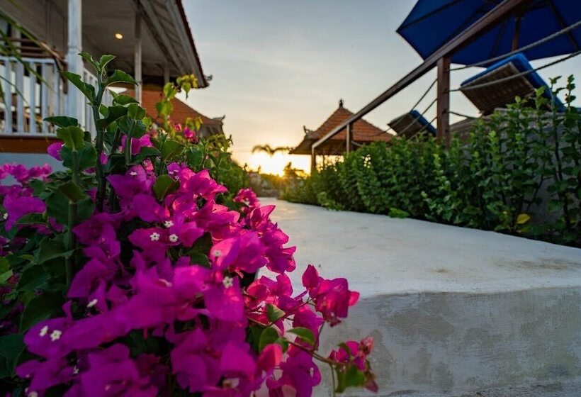 膳宿费 Island Retreat Cottage