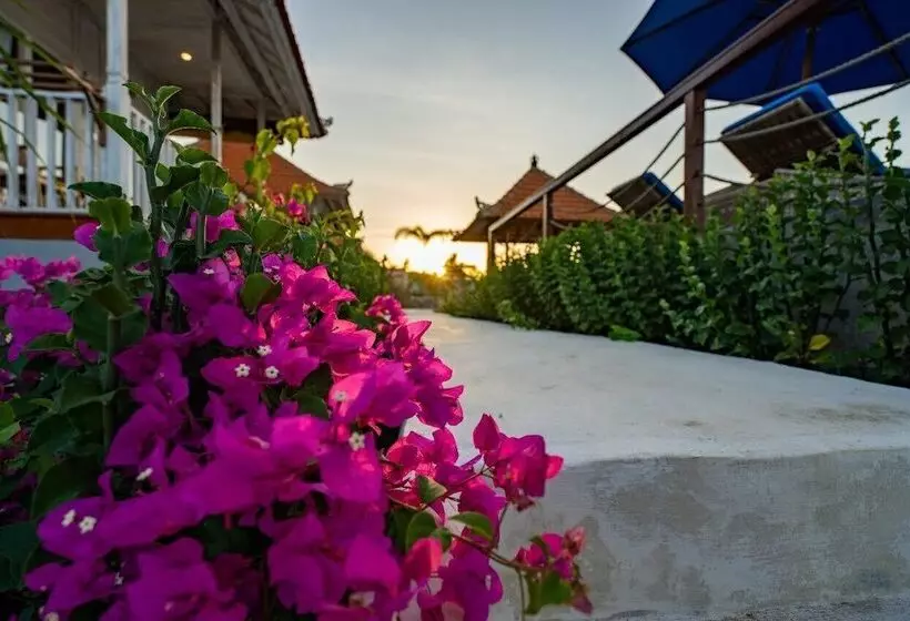 ペンション Island Retreat Cottage
