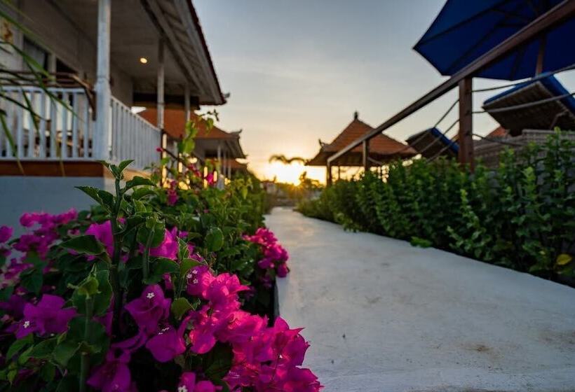 膳宿费 Island Retreat Cottage