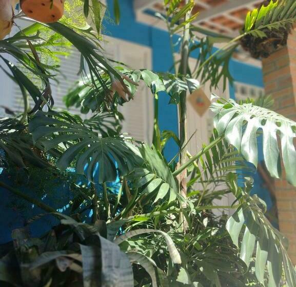 پانسیون Pousadinha E Residencial Sto Antônio   Praia De Bombas/bombinhas Sc