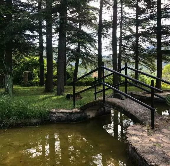 Aamiaismajoitus (B&B) Els Avets De La Muga