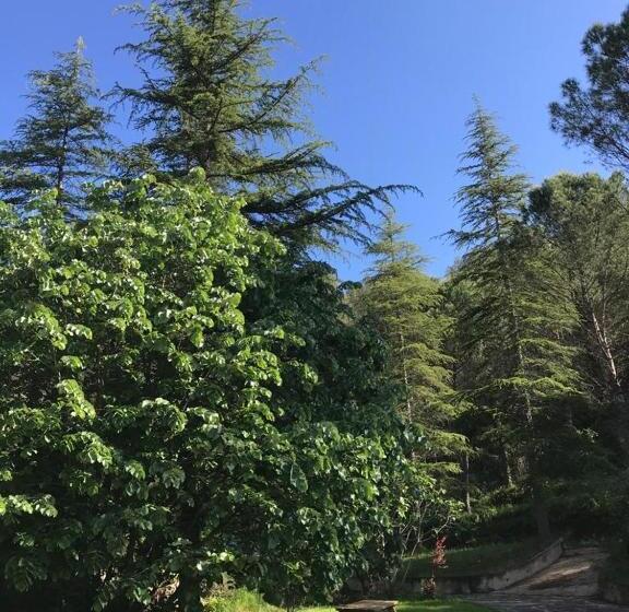 Bed and Breakfast Els Avets De La Muga