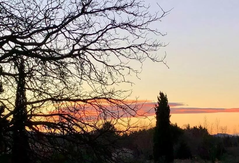 Aamiaismajoitus (B&B) Mas De Monge