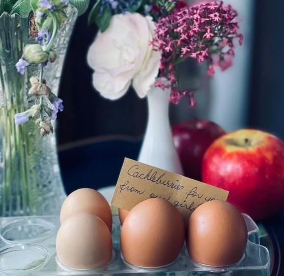 مبيت وإفطار The Old Chaff Mill Organic Vineyard Retreat