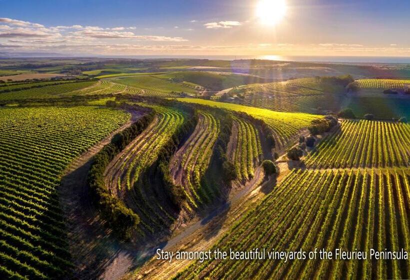 مبيت وإفطار The Old Chaff Mill Organic Vineyard Retreat