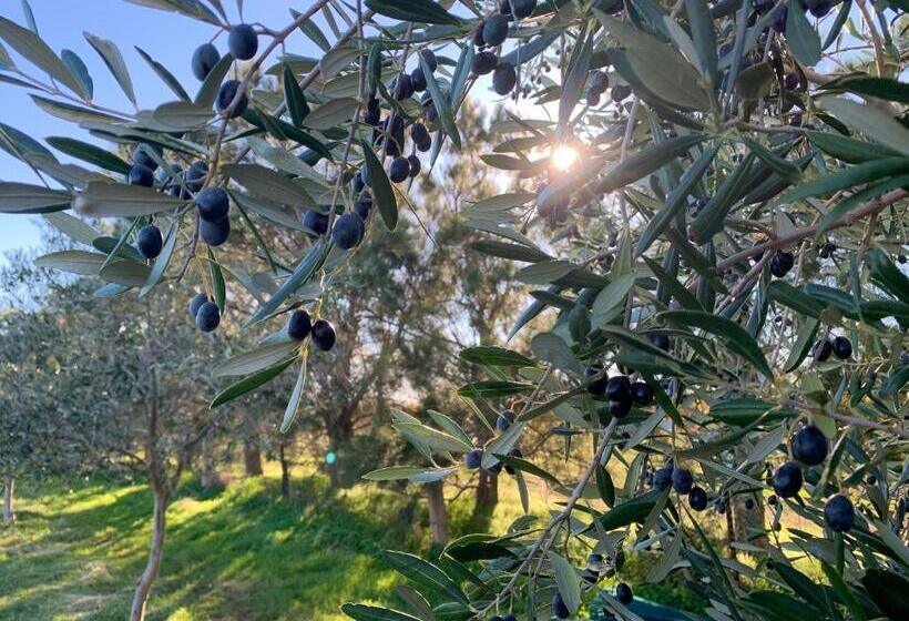 مبيت وإفطار The Old Chaff Mill Organic Vineyard Retreat