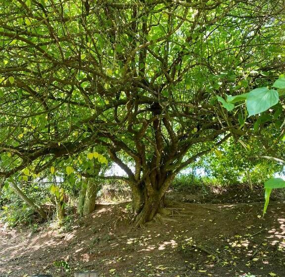 Отель Villarejo Pousada E Experiências